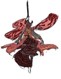 Red Swordsman